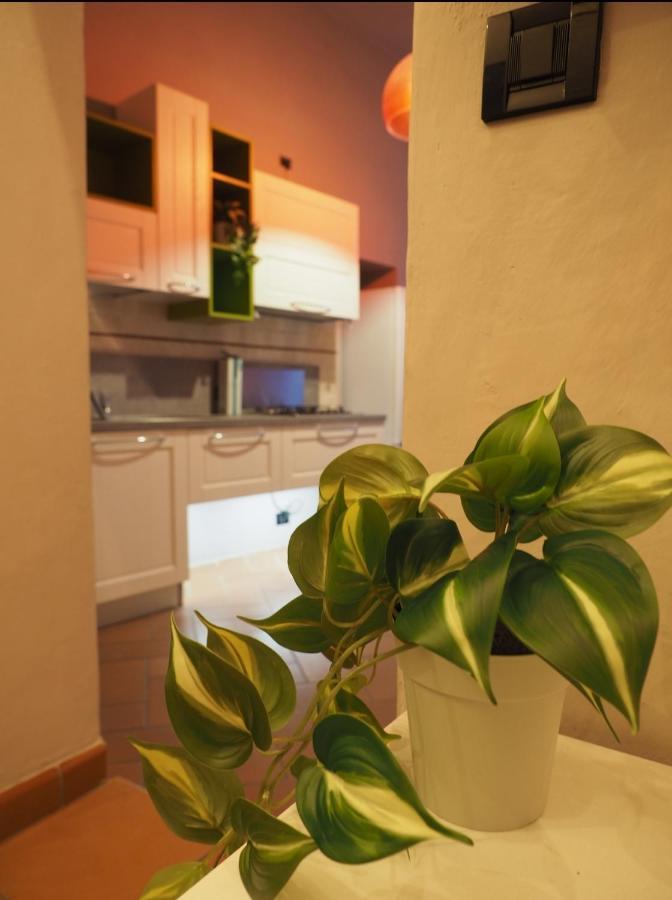 Il Nido Dell'Aquila By Francigenaapartments Siena Exterior photo